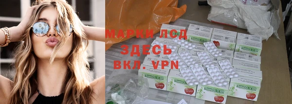 гашик Шали