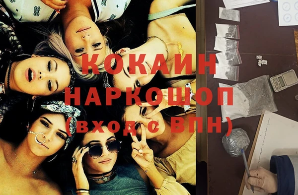 гашик Шали