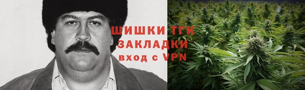 ПСИЛОЦИБИНОВЫЕ ГРИБЫ Шарыпово