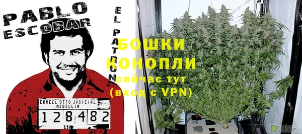 ПСИЛОЦИБИНОВЫЕ ГРИБЫ Шарыпово