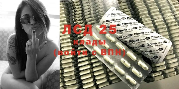 гашик Шали