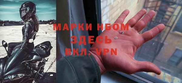 гашик Шали