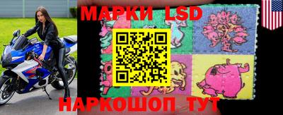 индика Аргун