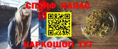 индика Аргун