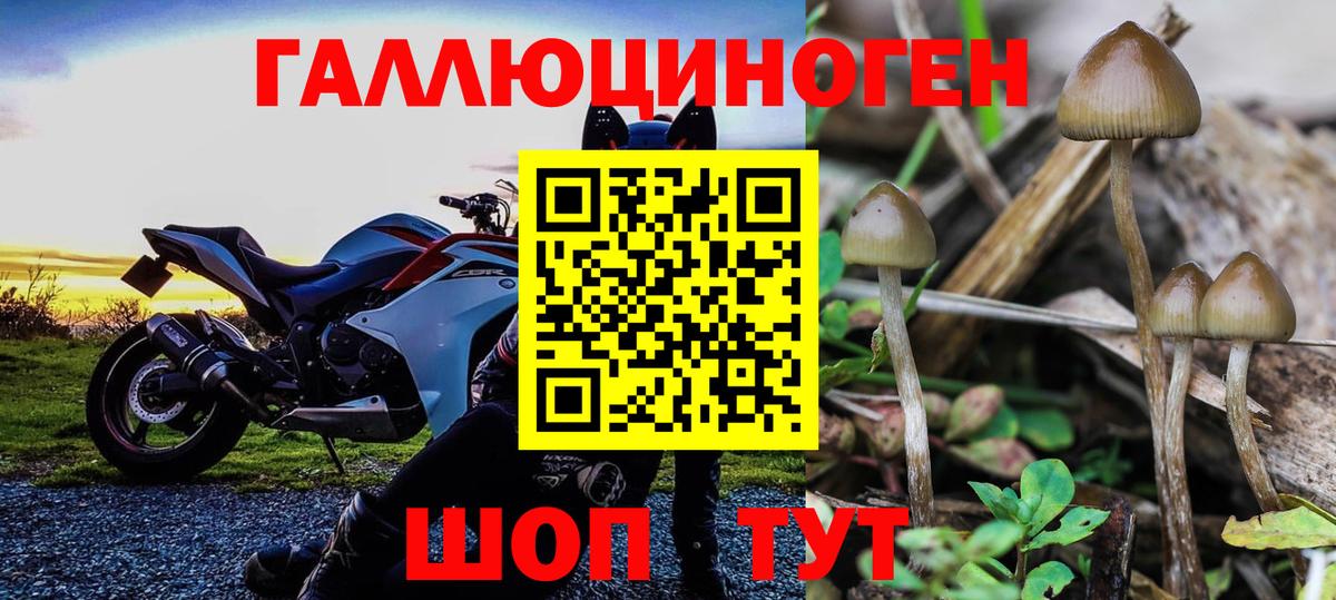 Галлюциногенные грибы мухоморы  Вход с VPN  Астрахань  Псилоцибиновые грибы мухоморы 